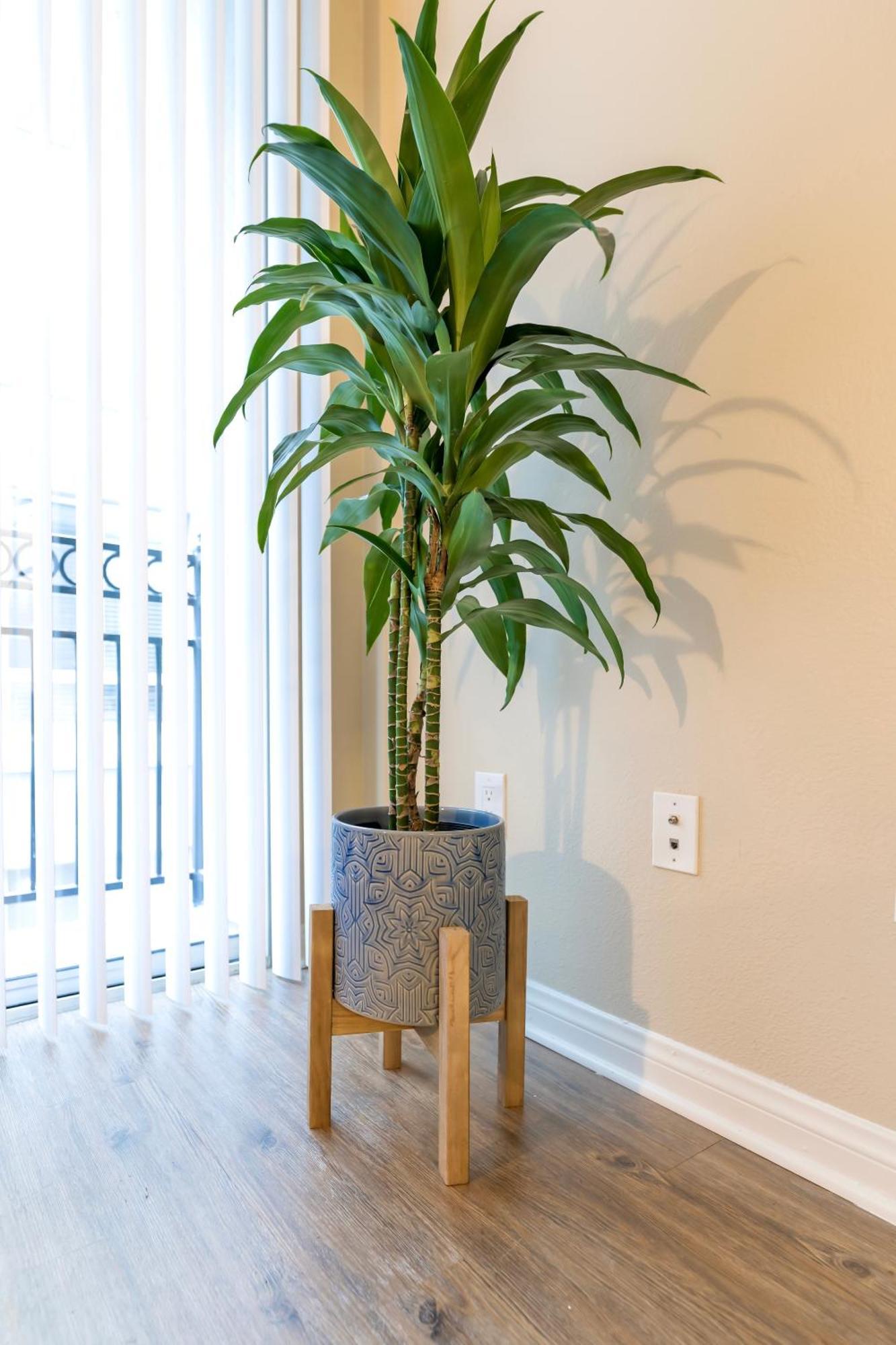 Marina Del Rey 1bdr Retreat With Pool, Gym, Free Parking